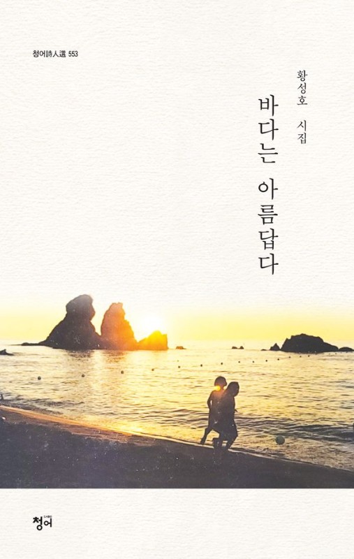 바다는 아름답다- 청어시인선 553
