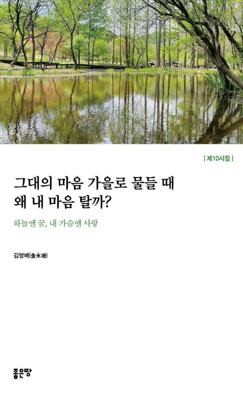 그대의 마음 가을로 물들 때 왜 내 마음 탈까?: 하늘엔 꿈, 내 가슴엔 사랑