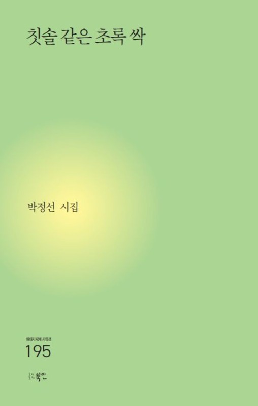 칫솔 같은 초록 싹- 현대시세계 시인선 195