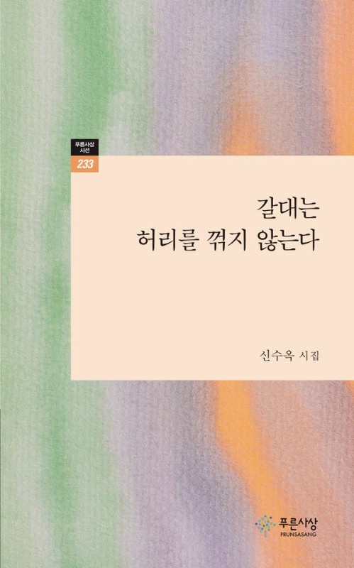 갈대는 허리를 꺾지 않는다- 푸른사상 시선 233