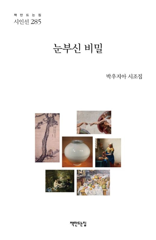 눈부신 비밀- 책만드는집 시인선 285
