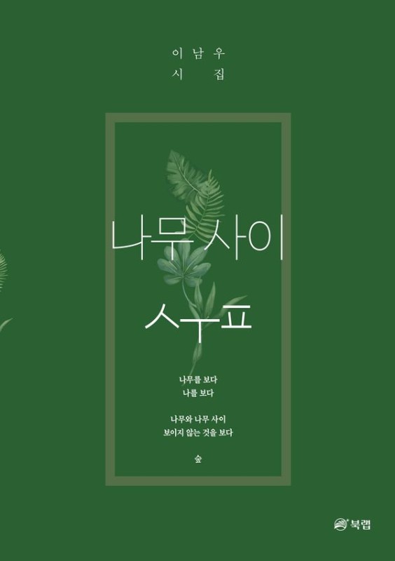 나무사이 숲