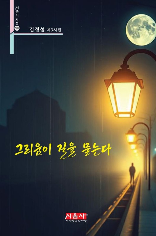 그리움이 길을 묻는다- 시음사 시선 507