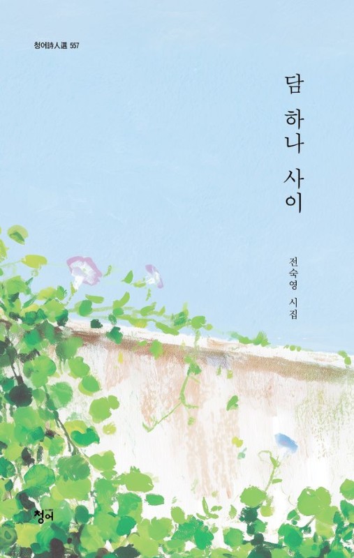 담 하나 사이- 청어시인선 557