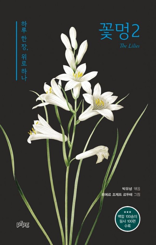 꽃멍 2 : 하루 한 장, 위로 하나