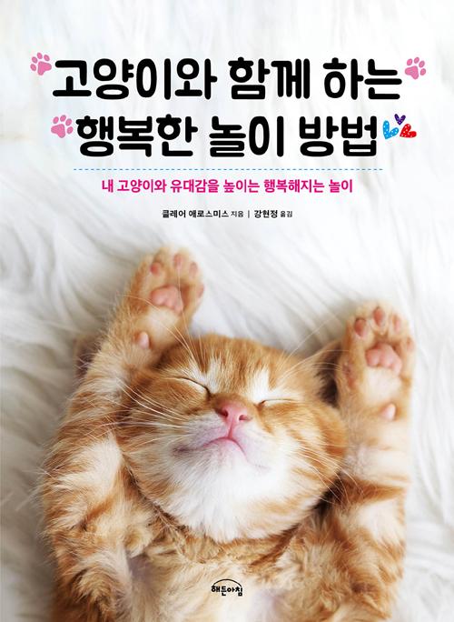 고양이와 함께 하는 행복해지는 놀이 방법