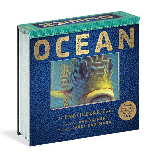 Ocean: A Photicular Book