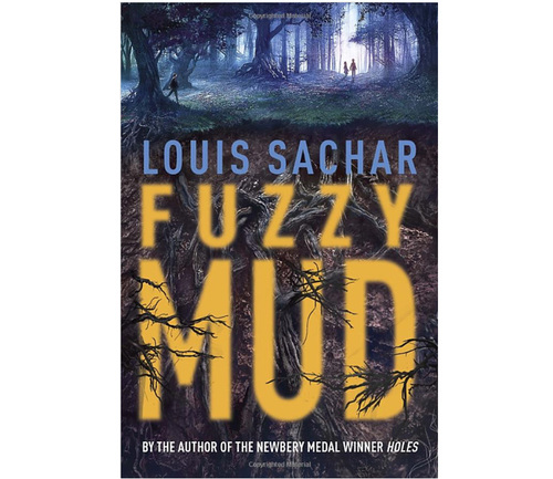 Fuzzy Mud